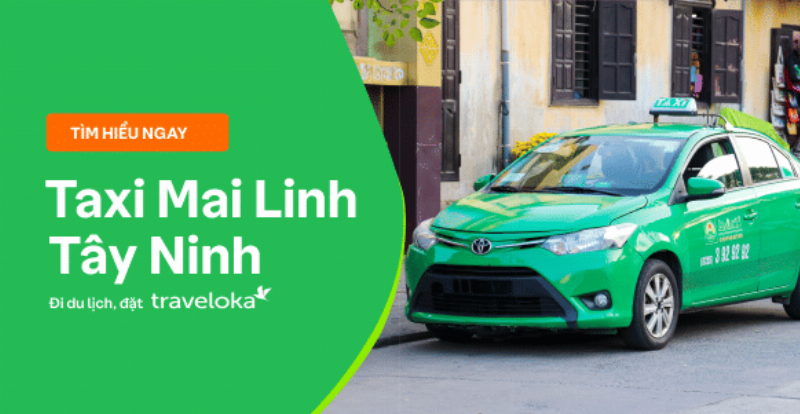 Một người đang mở ứng dụng Mai Linh Taxi trên điện thoại thông minh để đặt xe tại Tây Ninh.